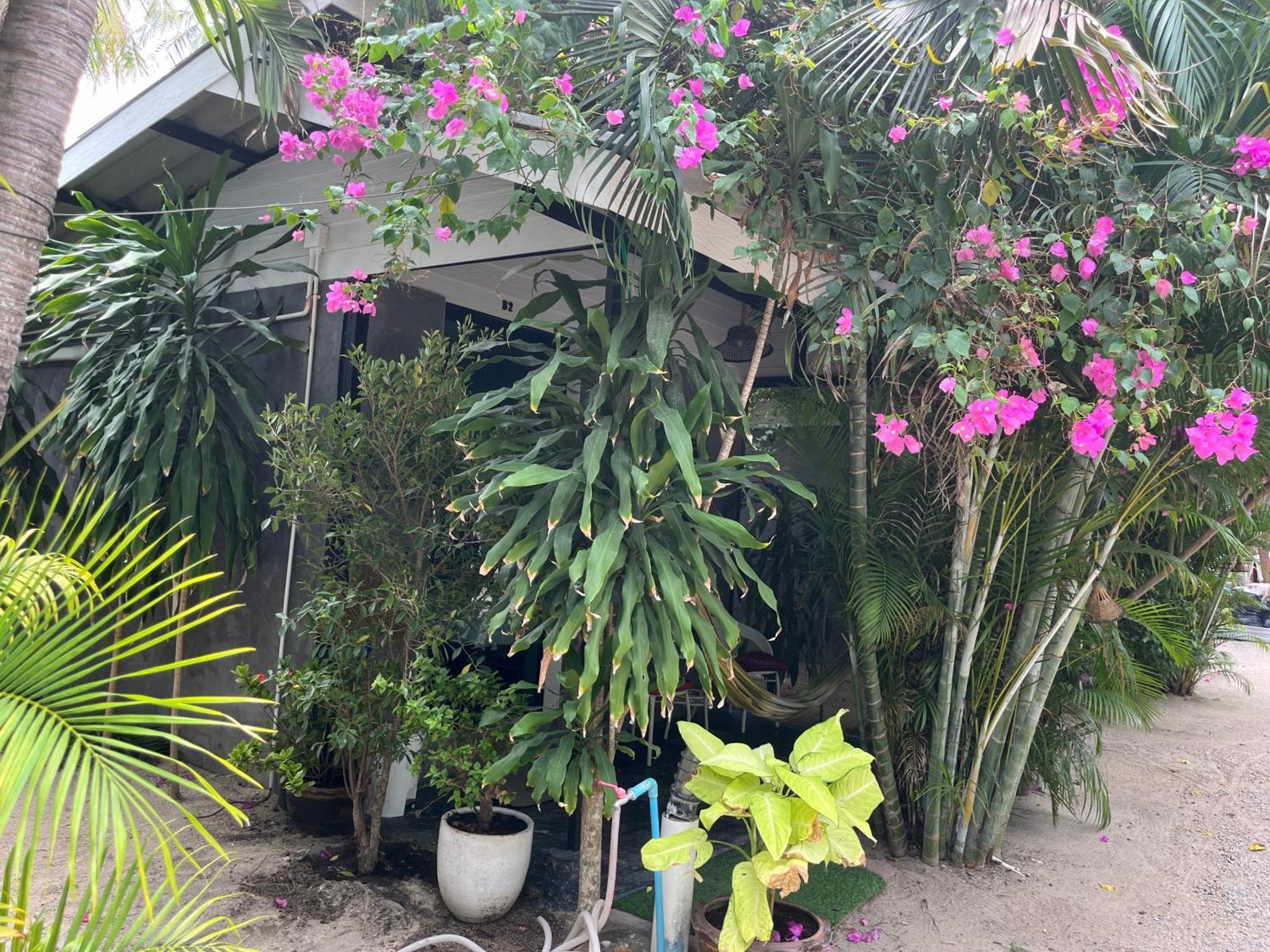 Mikasa Beach House Koh Phangan Baan Tai Bagian luar foto