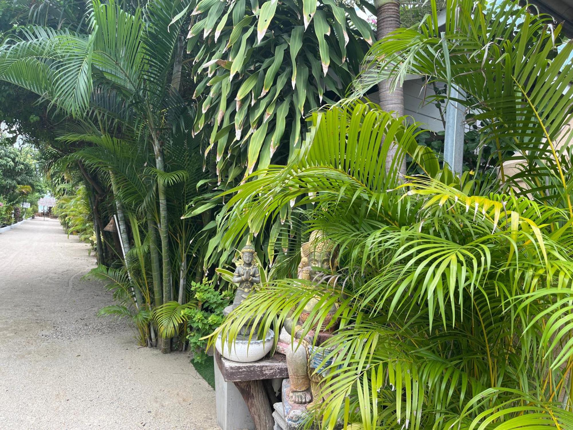 Mikasa Beach House Koh Phangan Baan Tai Bagian luar foto