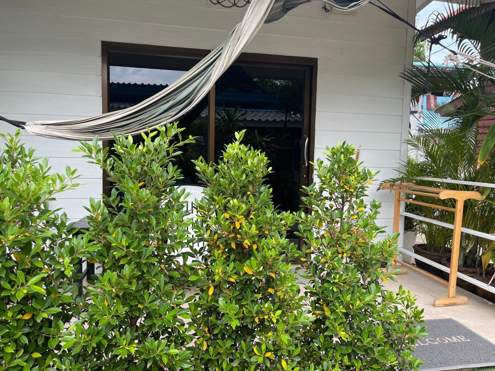 Mikasa Beach House Koh Phangan Baan Tai Bagian luar foto