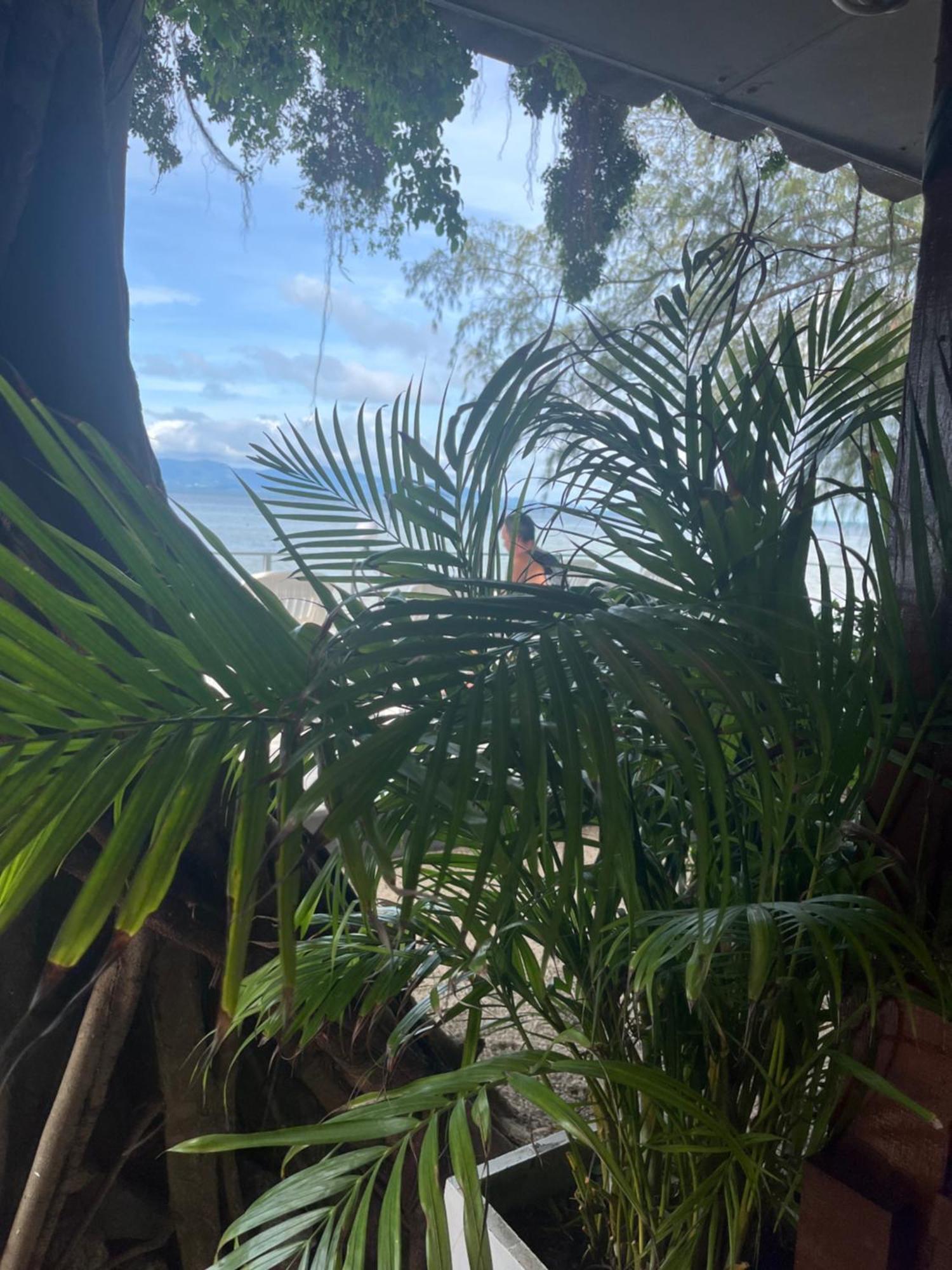 Mikasa Beach House Koh Phangan Baan Tai Bagian luar foto